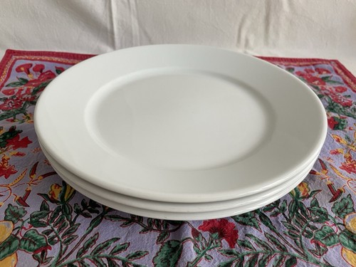 Vtg apilco dinner - dinner, 9.5